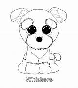 Beanie Coloring Pages Boo Ty Boos Party Babies Kids Baby Puppy Dog Printable Kleurplaten Whiskers Colouring Sheets Cute Rocks Kleurboeken sketch template