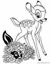 Bambi Coloring Pages Flower Disneyclips sketch template