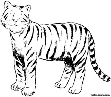 printable tiger coloring pages  kids  kids coloring pages