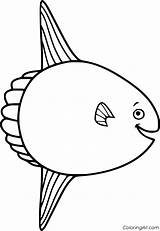 Mola Sunfish Template Coloringall sketch template