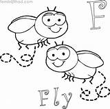 Coloring Pages Fly Printable Expression Facial Sheets Getcolorings Colori Choose Board Color sketch template