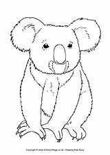 Koala Colouring Australian Animal Pages Animals Drawing Coloring Templates Outline Activityvillage Printable Bear Australia Drawings Colour Koalas Cute Aussie Patterns sketch template