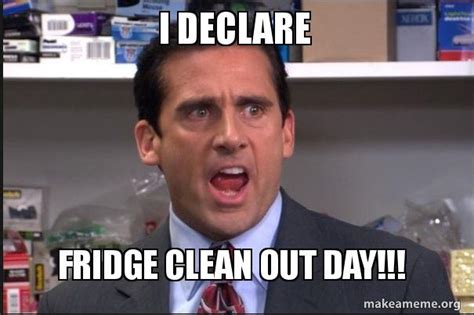 declare fridge clean  day meme generator