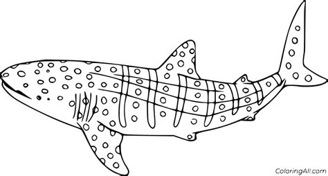 printable whale shark coloring pages  vector format easy