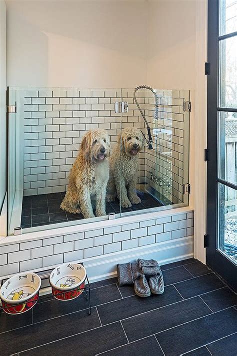 indoor dog houses   pets dream