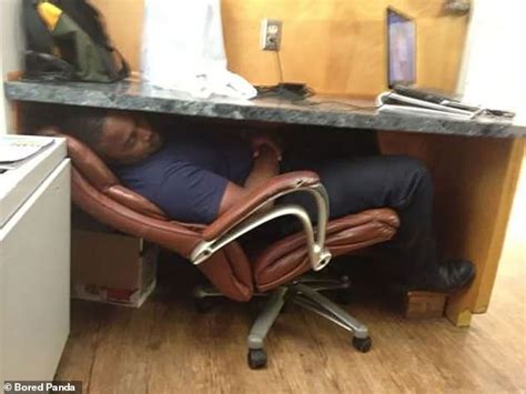 photos capture the world s most unusual sleeping positions daily mail
