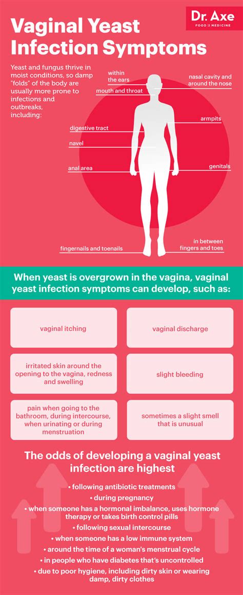 vaginal yeast infection 6 natural ways to get rid of it for good dr axe