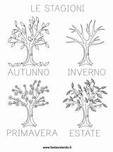 Stagioni Scheda Fantavolando Classe Illustrate Quattro Alberi Scaricate sketch template