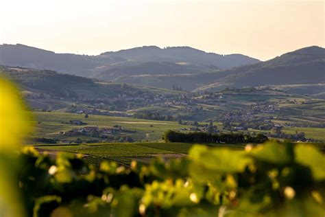 le beaujolais  ses celebres vins geoparc mondial unesco la voie bleue