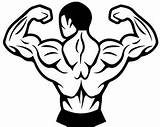 Bodybuilder Muscular Weightlifting Gym Webstockreview sketch template