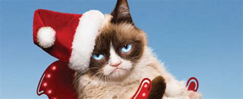 Grumpy Cat Reviews ‘worst Christmas Ever’