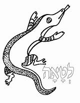 Tots Torah Lizard Torahtots 2000 Inc sketch template