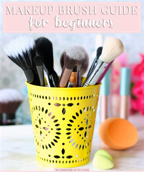 makeup brush guide for beginners slashed beauty