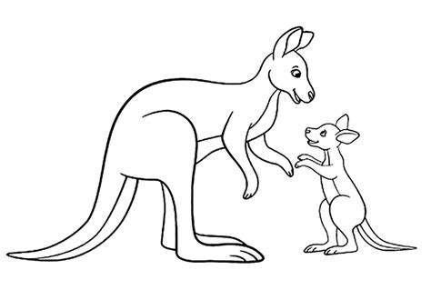 kangaroo tracks coloring pages