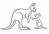 Coloring Kids Kangaroos Pages Color Simple Children Animals sketch template