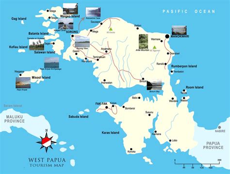 independent west papua   failing state papua poss blog