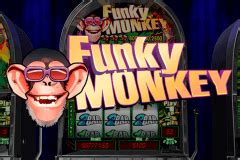 funky monkey slot machine    rtp playtech casino slots