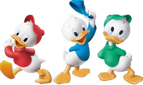 huey dewey  louie duck fictional characters wiki fandom