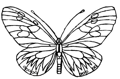 butterfly pages  color coloring pages