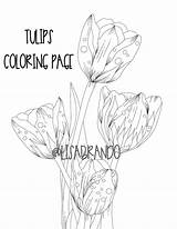 Brando Tulips sketch template