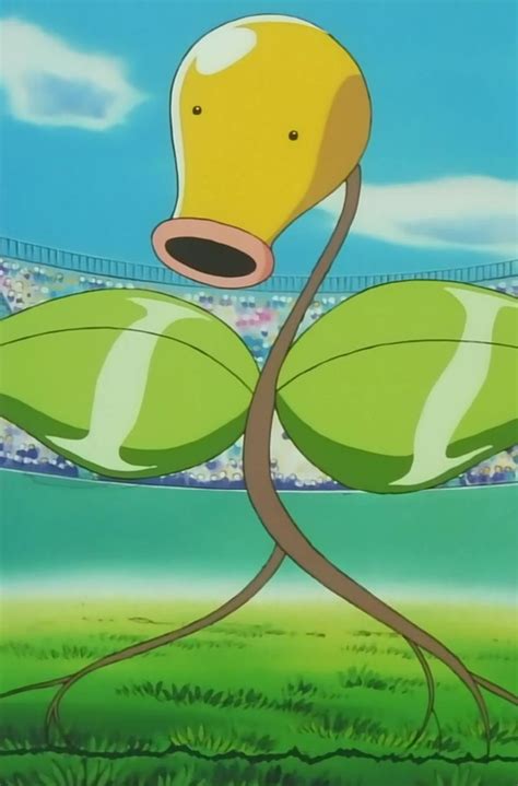 bellsprout pokemon anime character
