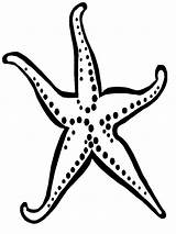Starfish Outline Craft Fish Star Clipart Coloring Pages Printable sketch template