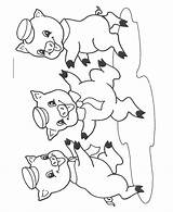 Pigs Three Coloring Sheets Little Pages Dancing Activity Print sketch template