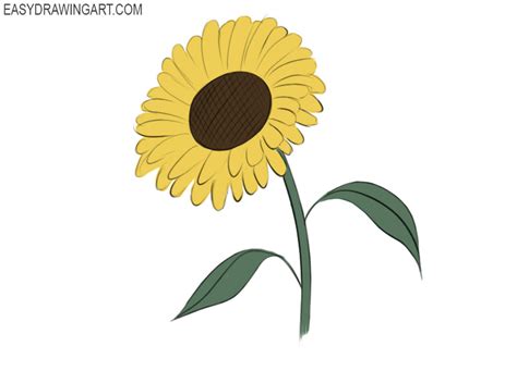 sunflower coloring page coloringpagezcom