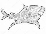 Requin Haai Volwassenen Sharktopus Adultes Coloration Colorier Pour Viktoriia Panchenko sketch template