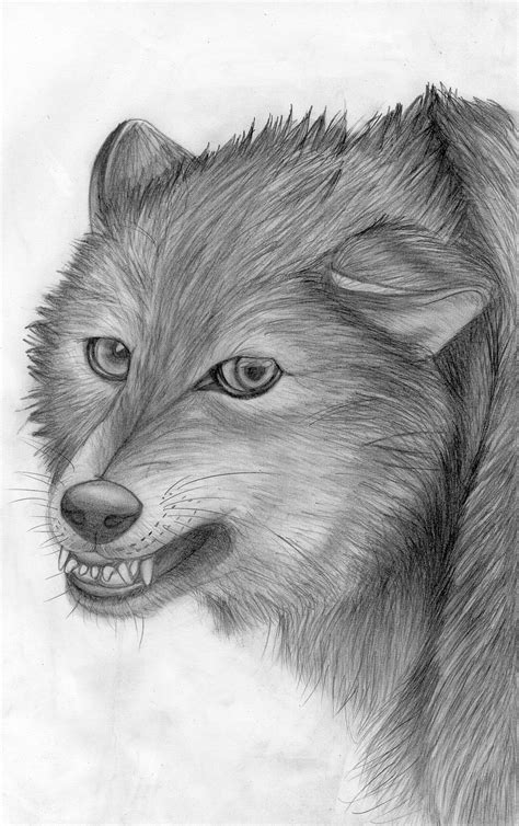 Angry Wolf By Takas15 On Deviantart