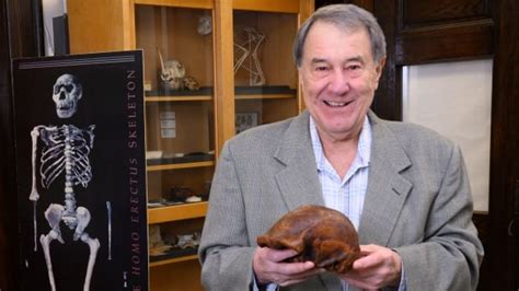 human ancestor homo erectus   survived   years  cbc news