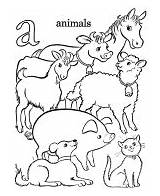 Farm Pages Alphabet Coloring Abc Activity Animal Sheets Kids Letter Honkingdonkey Animals Pre Sheet Printable Color sketch template