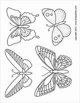 Butterflies Printable Butterfly Template Coloring Pages Firstpalette Shapes Flower Templates Pattern Set Crafts Patterns Outline 3d Stencil Choose Board sketch template