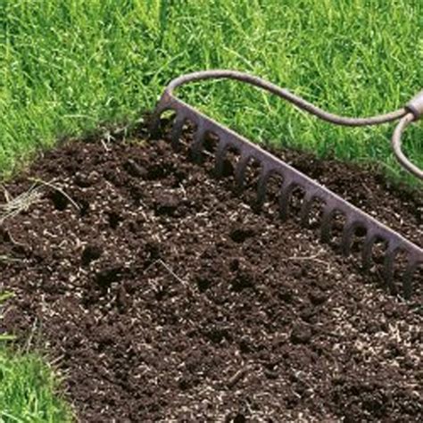 Amanda Arnold How To Repair Your Lawn After The Hot Dry