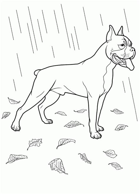 dog coloring pages dog coloring page horse coloring pages dog