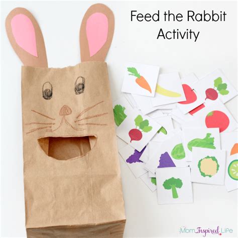 feed  bunny rabbit activity      teach colors