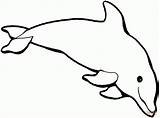 Delfin Delfine Malvorlagen Kinderbilder sketch template