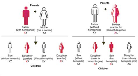 can a recessive trait be on the y chromosome x linked patient