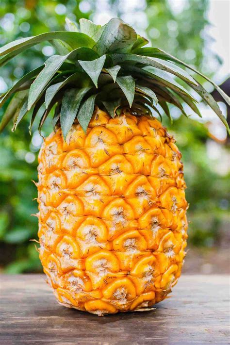 ripen  pineapple fast  easy ways tipbuzz