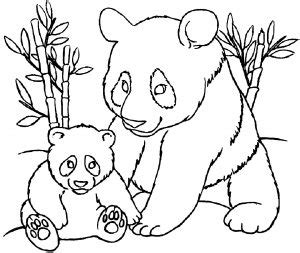 pandas  printable coloring pages  kids