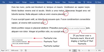 insert  footnote  word step  step software accountant