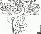 Serpente Serpiente Diavolo Colorare Schlange Diablo Serpent Testament Malvorlagen Teufel Testamento Devil Altes Tanach Bibel Disegni Bibbia Tanakh Vecchio Biblia sketch template