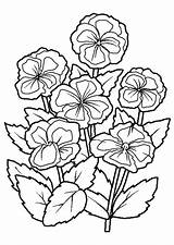 Coloriage Coloring Visit Pages Fleur sketch template
