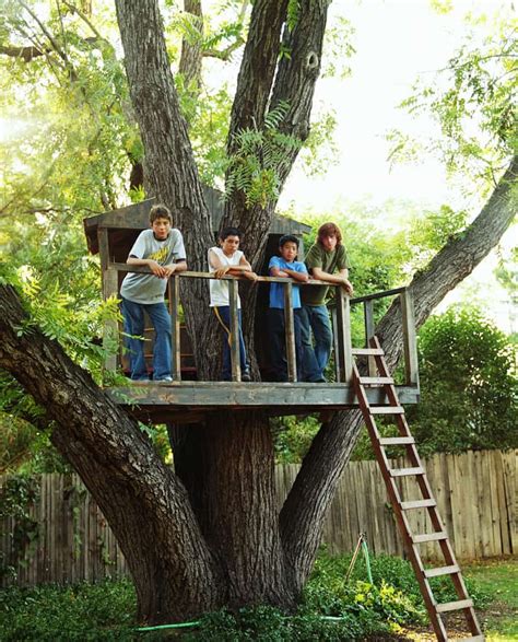 kids treehouse designs
