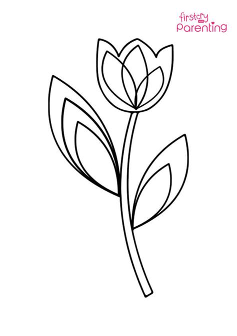 easy printable tulip coloring pages  kids