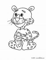 Coloring Pages Leopard Lioness Color Print Lion Cub Animal Panther Animals African sketch template