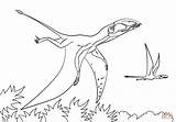 Jurassic Druku Kolorowanki Dinozaury Dimorphodon Colorare Pteranodon Kolorowanka Pterodactyl Ausmalbild Flugsaurier Dibujos Disegni Tarbosaurus Pterodaktyl Ausdrucken Dinosaurier Dinosaur Kostenlos sketch template