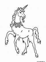 Unicorn Pages Coloring Printable sketch template