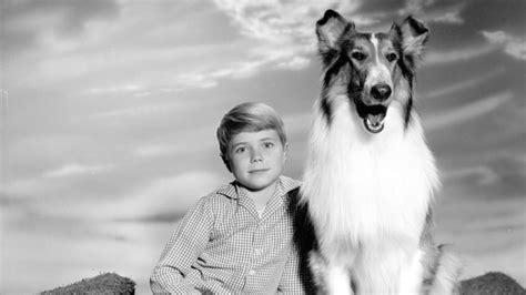 watch lassie 1954 full movie on gomovies