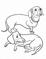 Coloring Dachshund Pages Dog Printable Sheets Sausage Puppy Adult Colouring Dogs Drawing Coloringcafe Color Dachshunds Applique Long Pdf Weiner Getdrawings sketch template